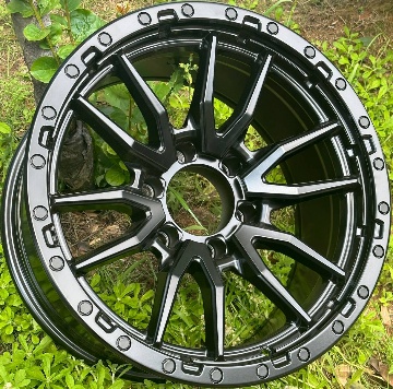 Titan X165 Matte Black alloy wheel